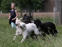 Puppys van Bliss040622-0117